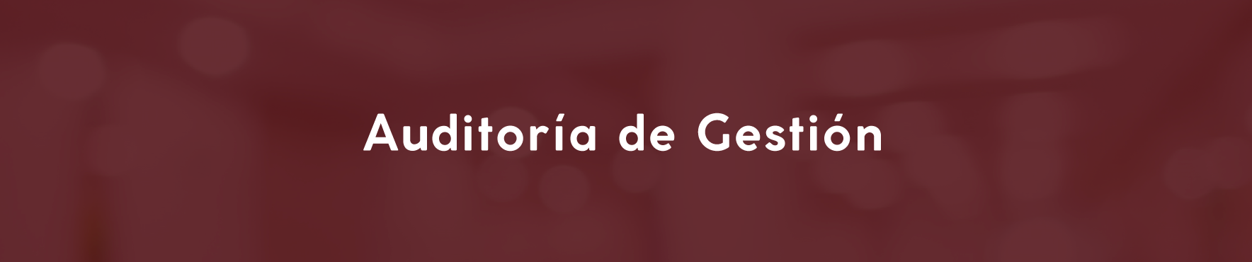 Garcia Valer Consultores